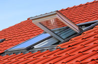 Minto Kames roof window